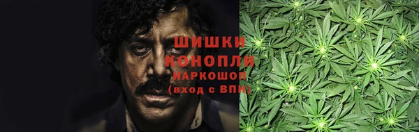 амф Новодвинск