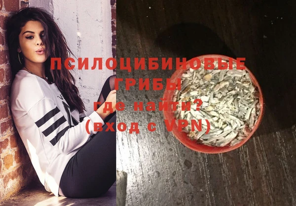 СК Абинск