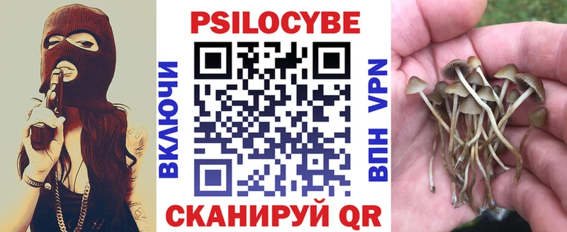 blacksprut ссылка  Элиста  Галлюциногенные грибы ЛСД 