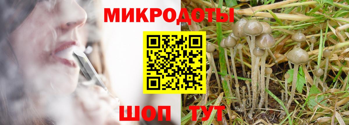Псилоцибиновые грибы Psilocybe  Вход с VPN  даркнет сайт  Элиста  Псилоцибиновые грибы Magic Shrooms 